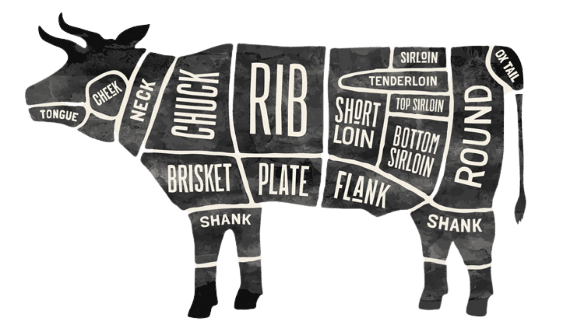 Cuts of Beef from butchershop